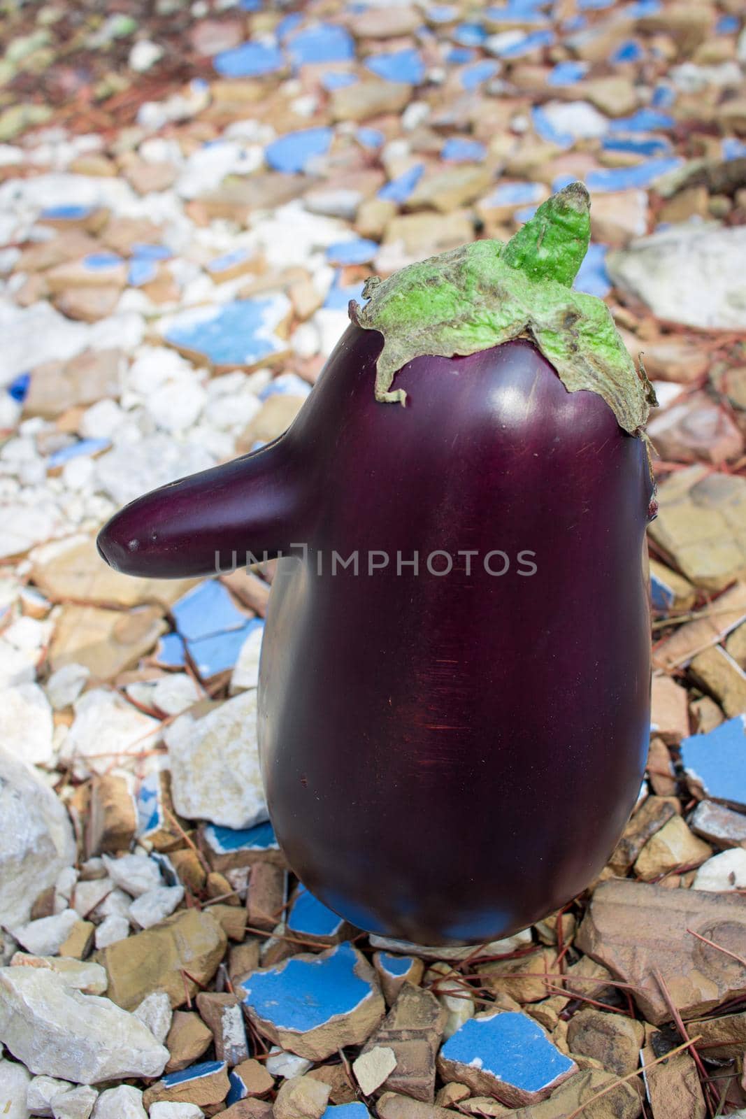 Funny purple fresh natural organic vegetable eggplant with long nose on tiles