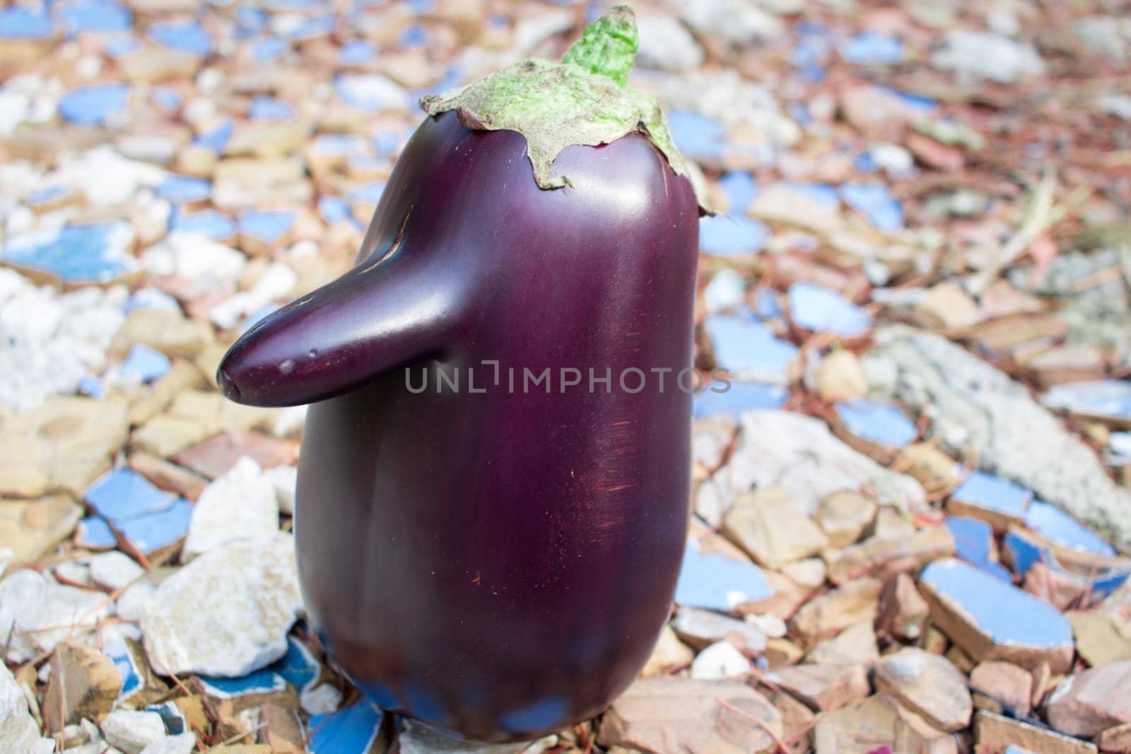 Funny purple fresh natural organic vegetable eggplant with nose standing on tiles