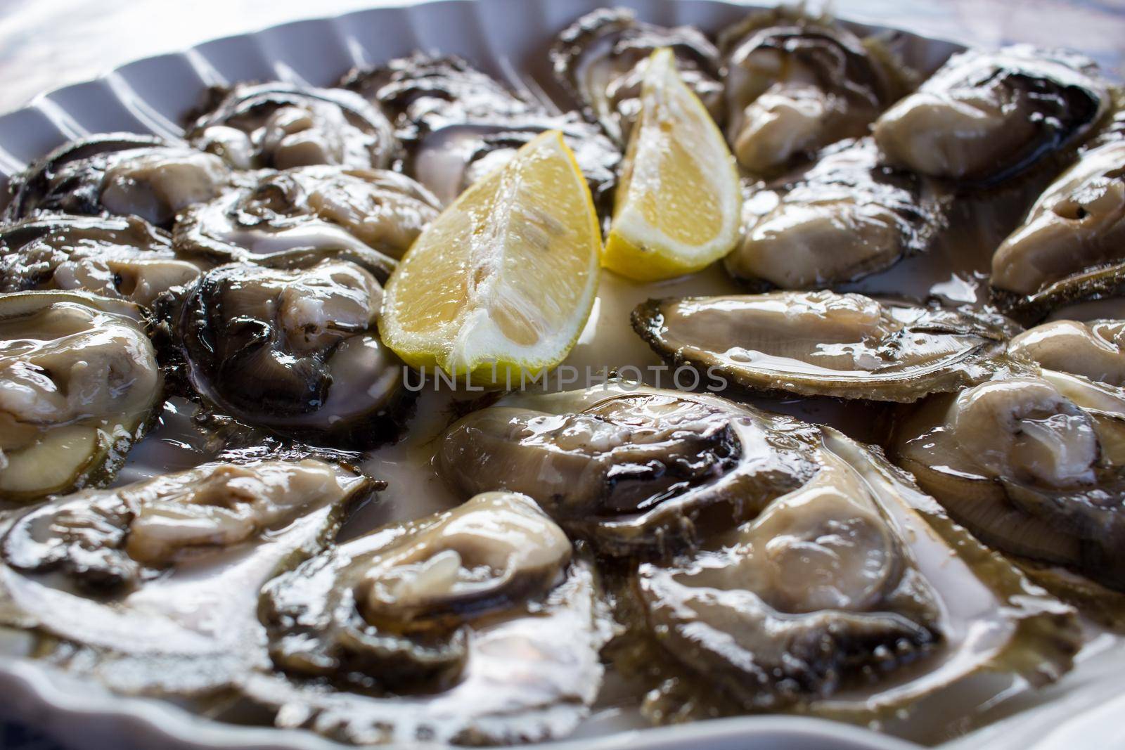 Food plate of fresh natural organic oysters and lemon by VeraVerano