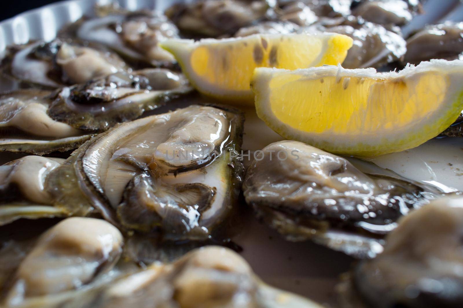 Food plate of fresh natural organic oysters with lemons