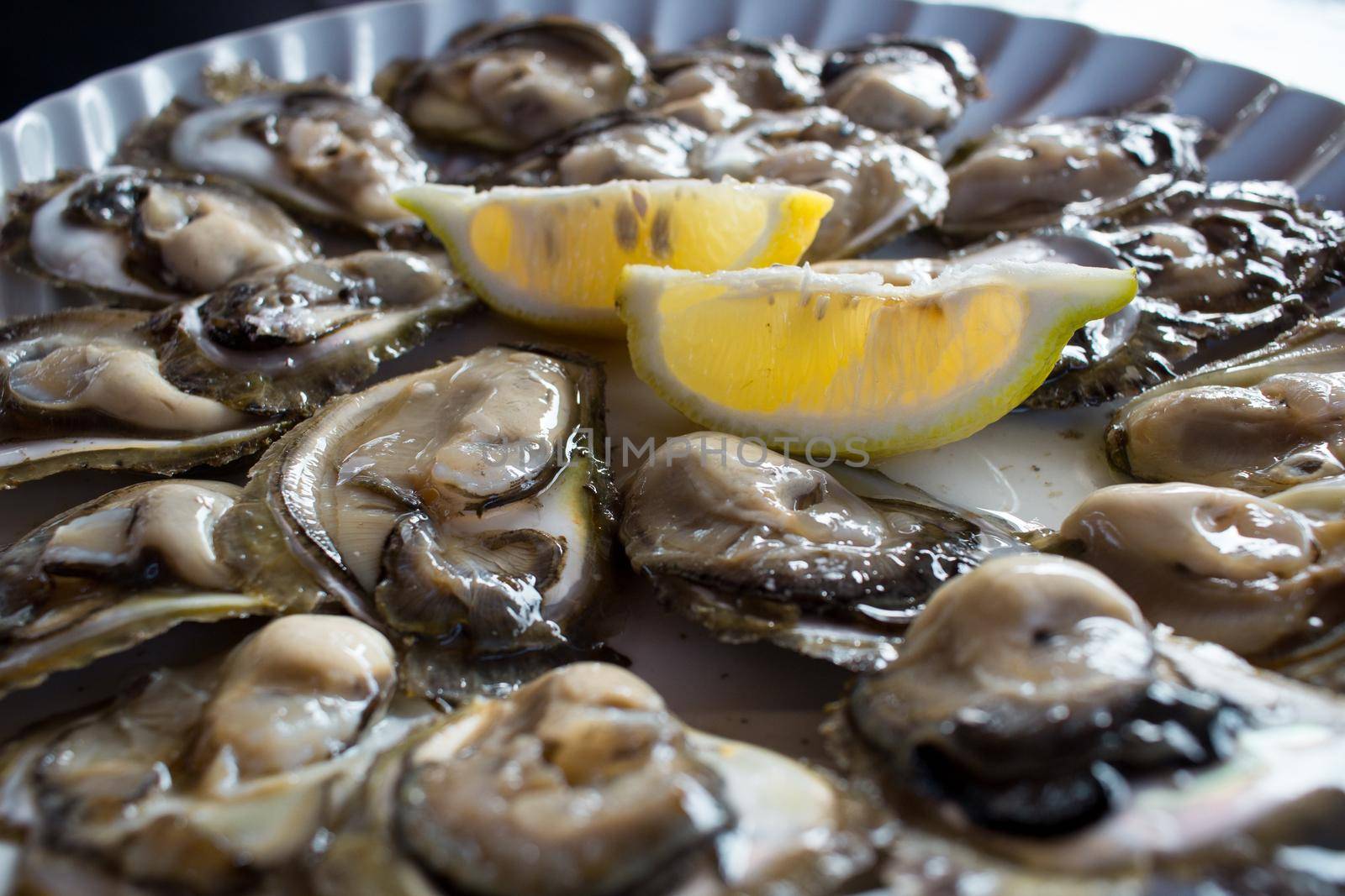 Food plate of fresh natural organic oysters and lemon