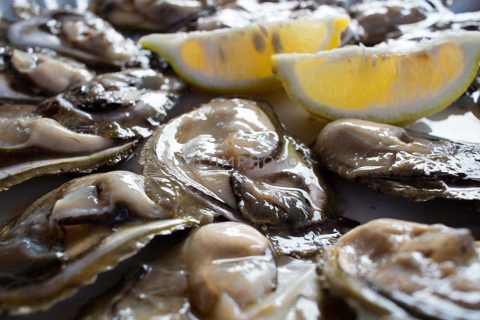 Food plate of fresh natural oysters with lemon by VeraVerano