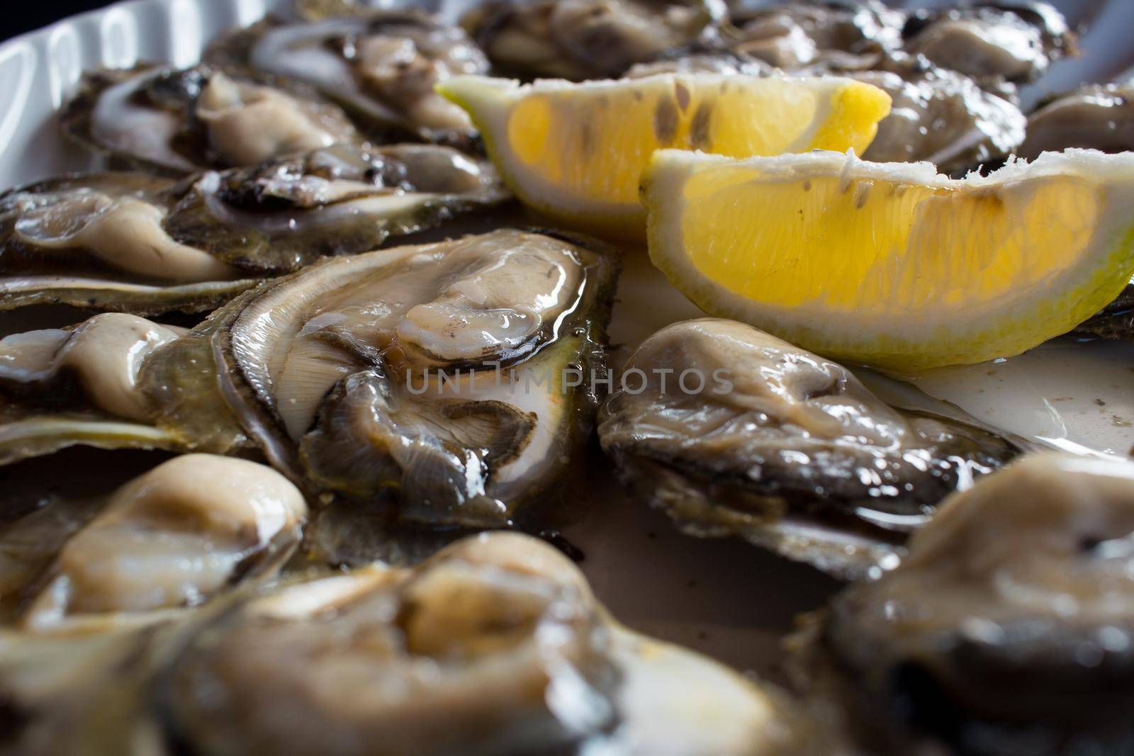Food plate of fresh natural oysters with lemon
