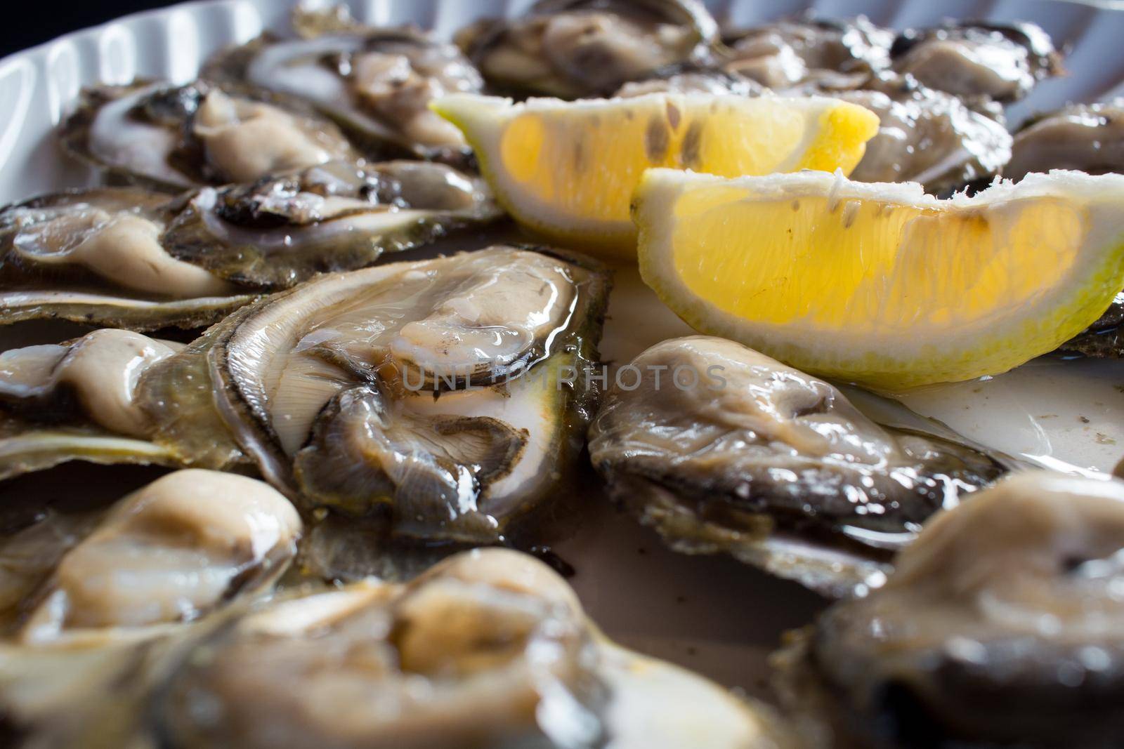 Food plate of fresh organic oysters with lemons