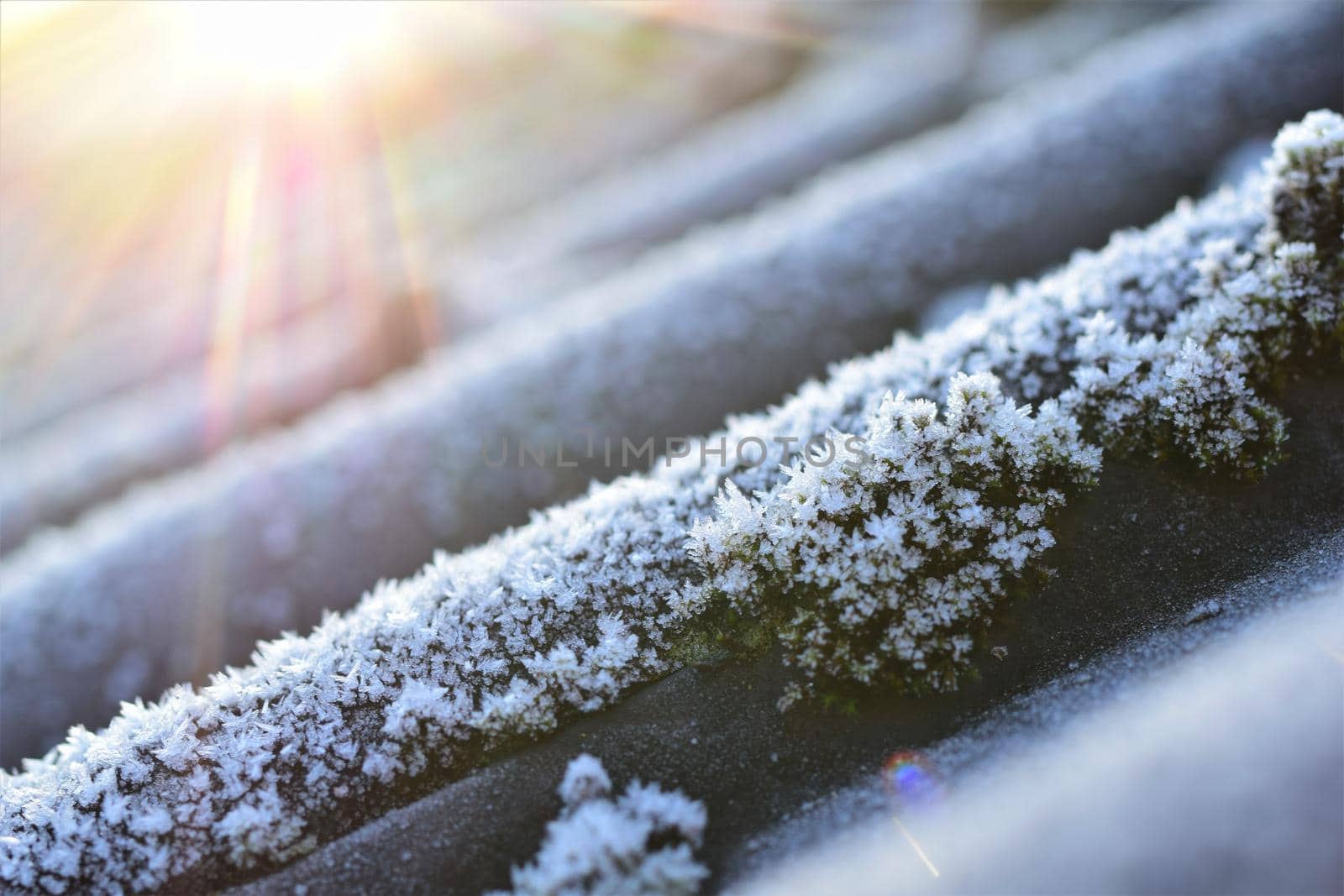 Sunrise over a frozen roof with moss and ice