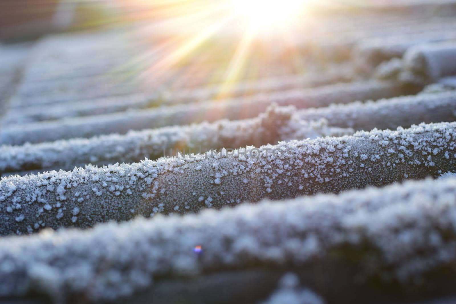 Sunrise over a frozen roof with moss and ice