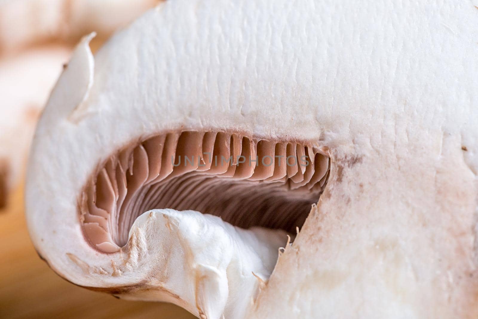 Close-up of a slice of edible mushroom Royal champignons on a cutting board. Delicious and healthy food concept.