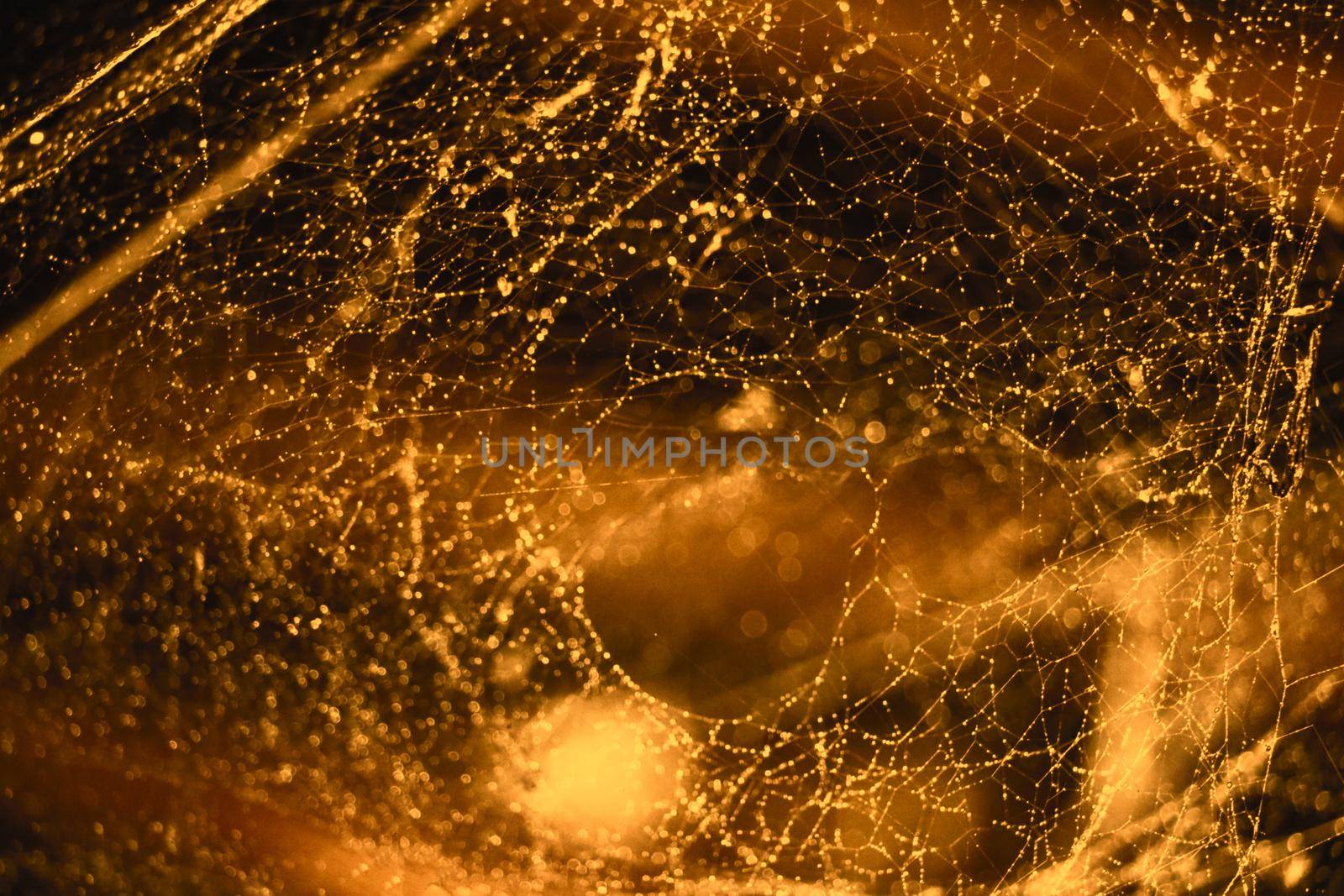 blurred abstract and art with bokeh of cobweb and blur orange tone background
