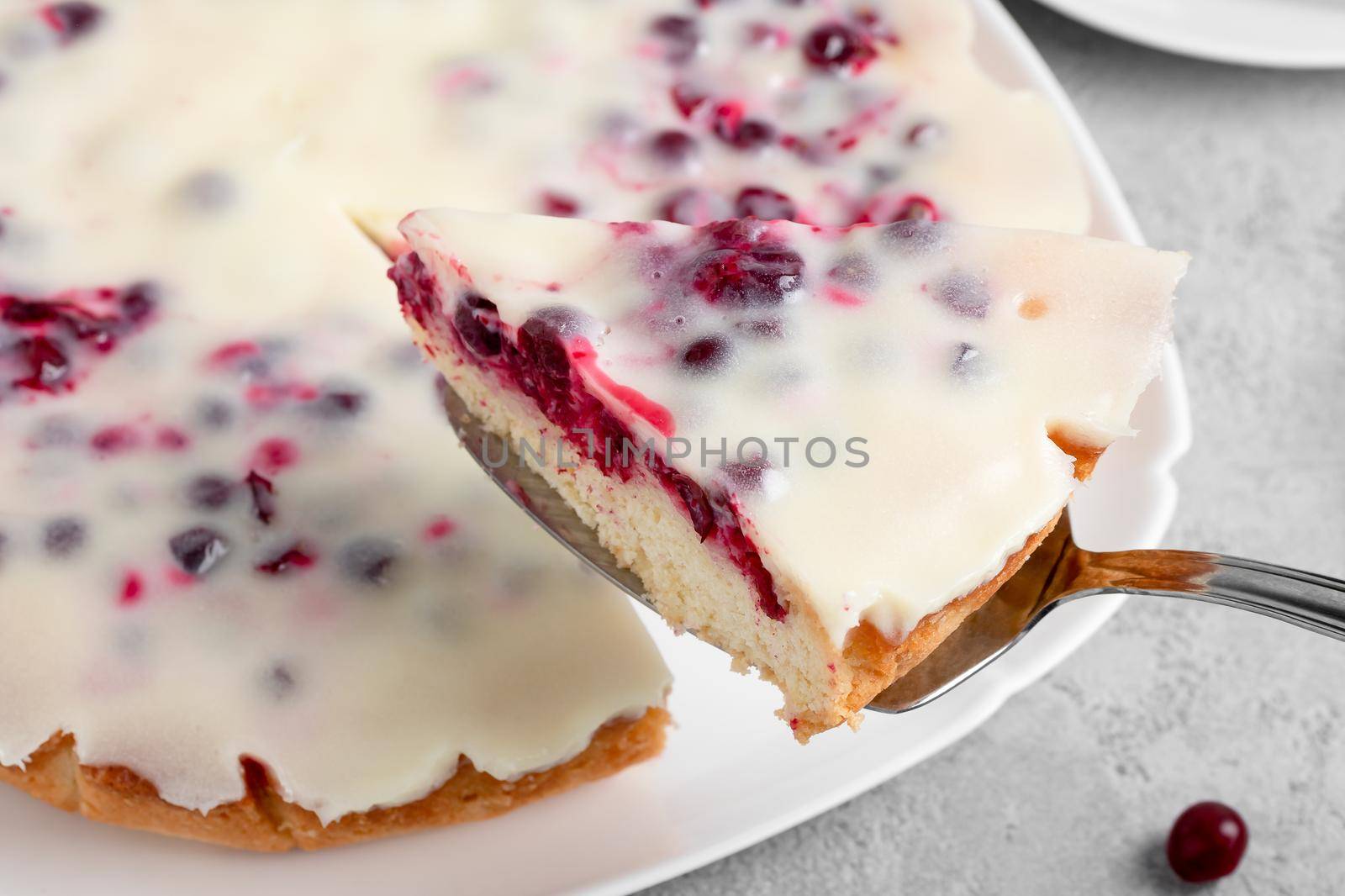 Homemade cake with cranberries and sour cream. Piece of pie close up.
