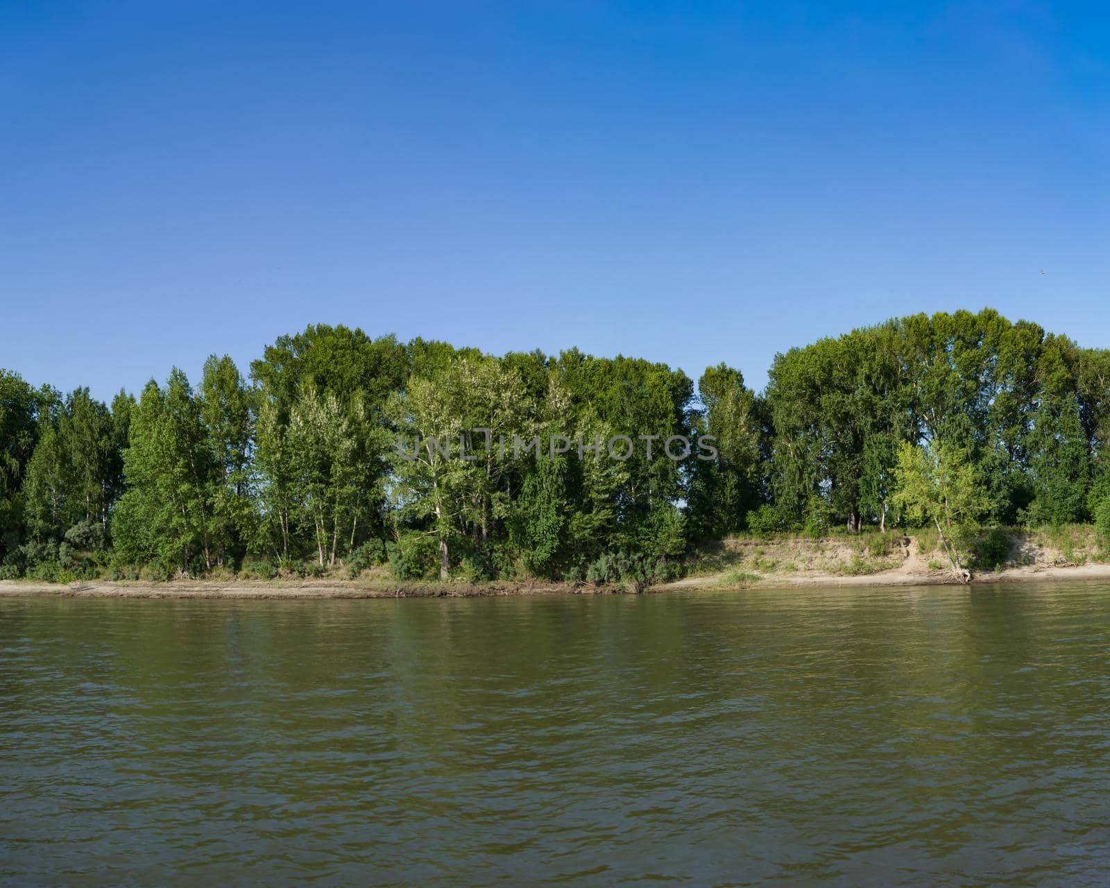 Natural landscape with the coastline of the river overgrown with green trees