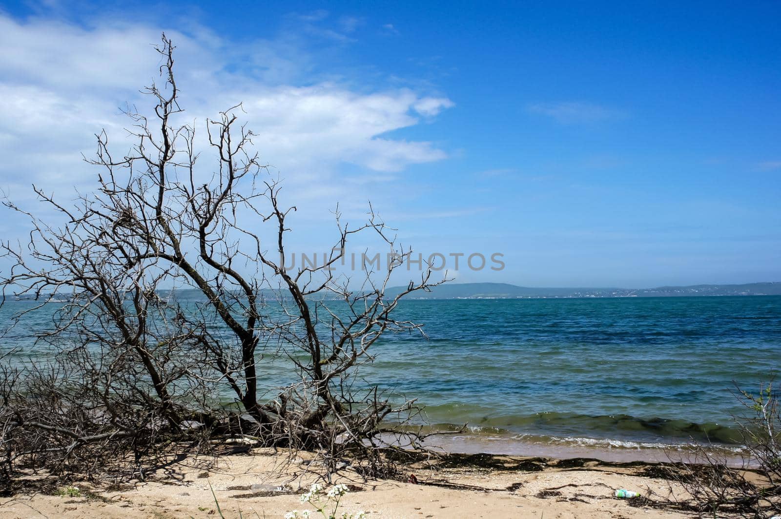 Seascape with the coastline of the Azov sea.