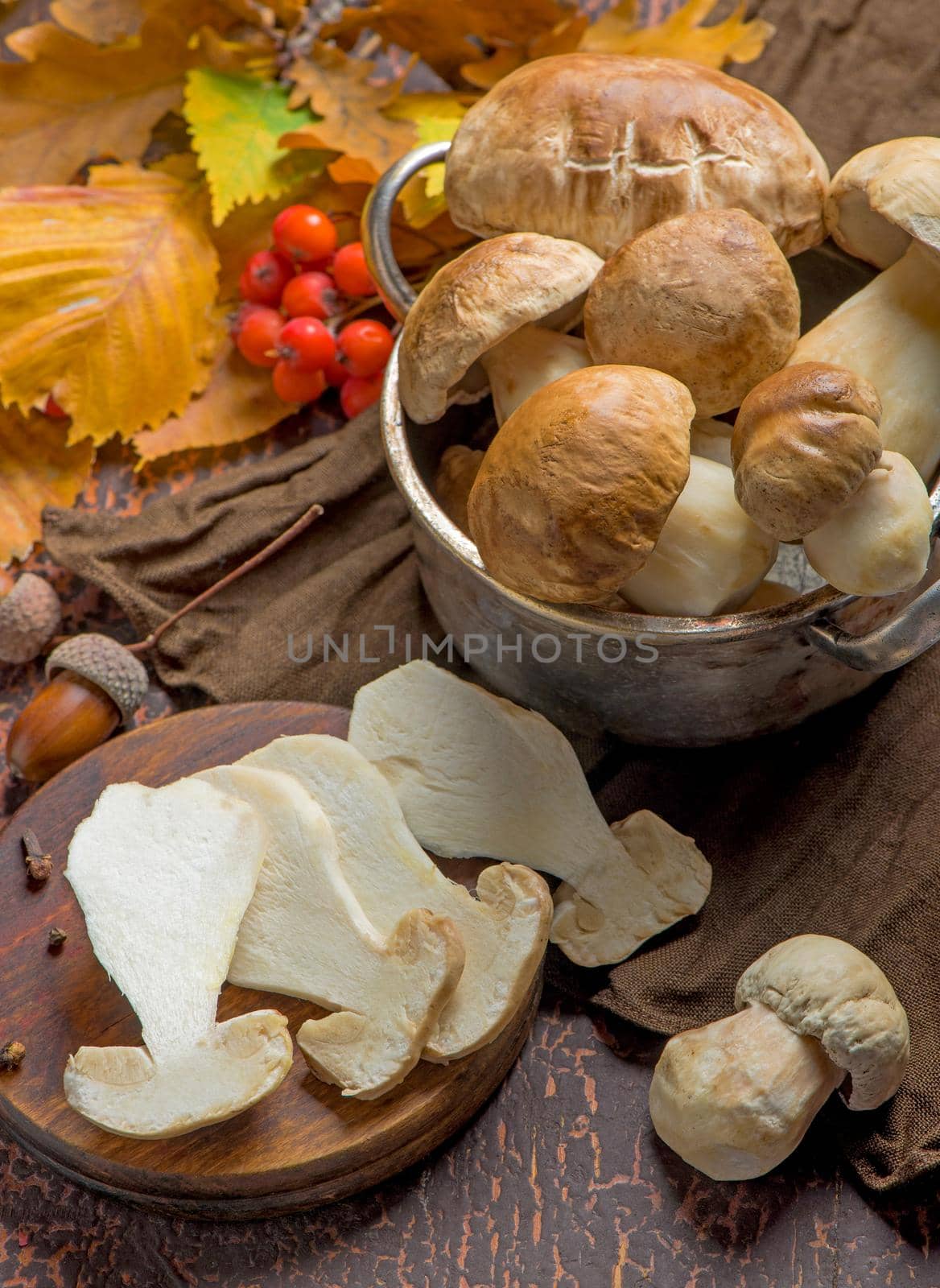 Mushroom Boletus edulis over Wooden Background, close up on wood rustic table. Cooking delicious organic mushroom. Gourmet food by aprilphoto