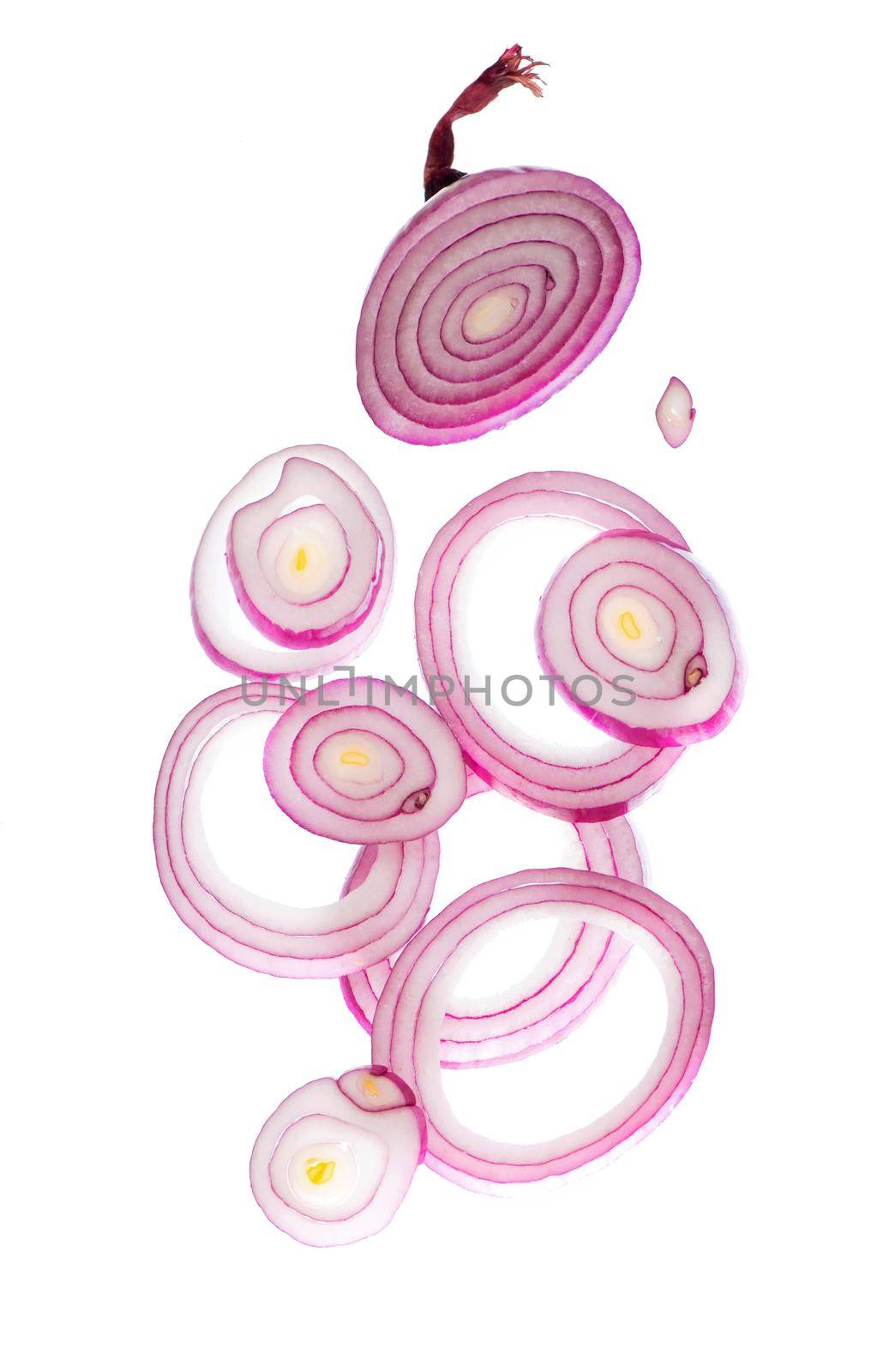 juicy raw onion cut into rings sprinkled on a white plate by aprilphoto