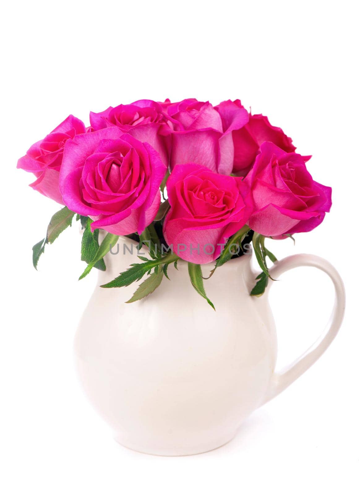 beautiful pink roses in a vase on a white background by aprilphoto