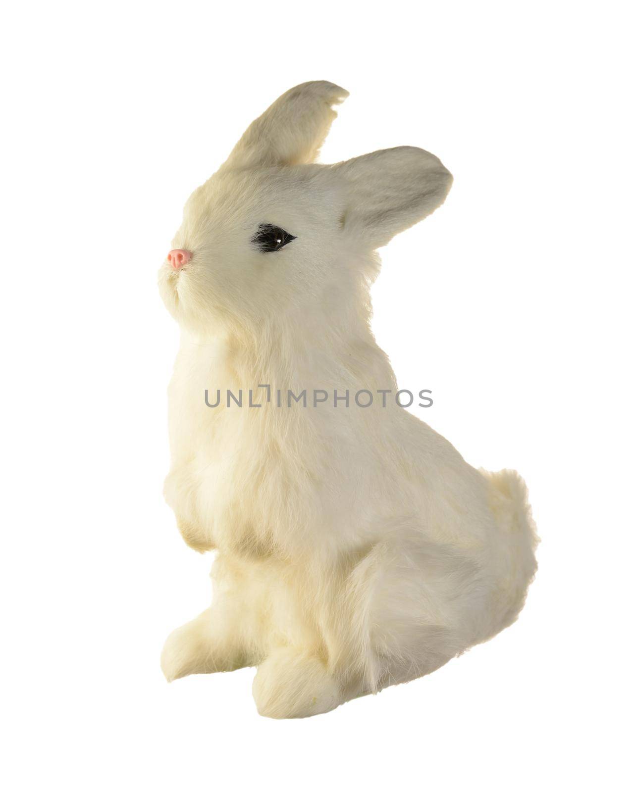 An isolated white rabbit over a clean bright background.