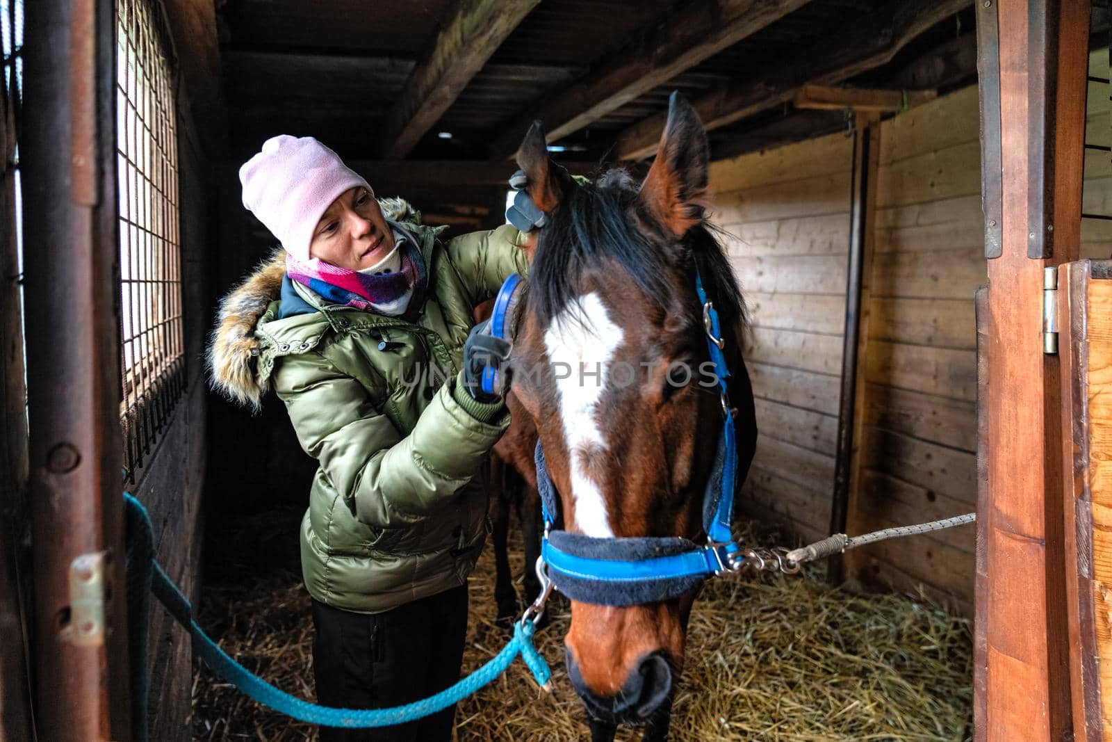 Caring for horses in the stables. combing hair with the help of brushing.