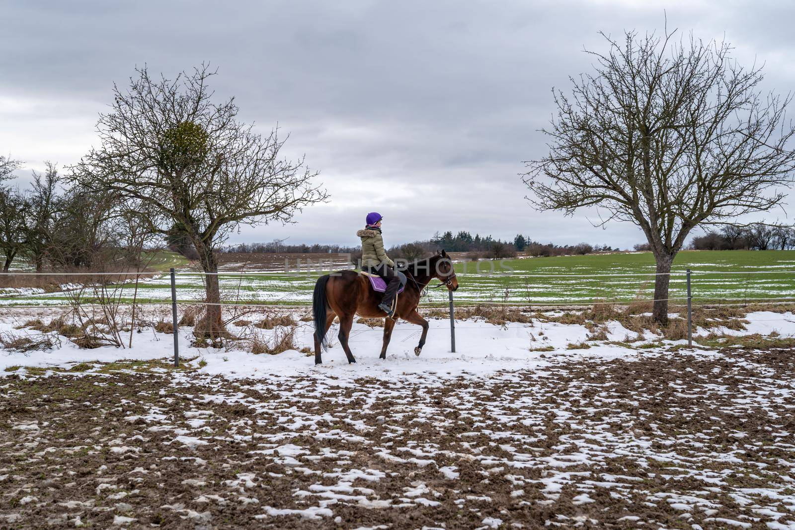 horseback riding at the farmyard in the village by Edophoto