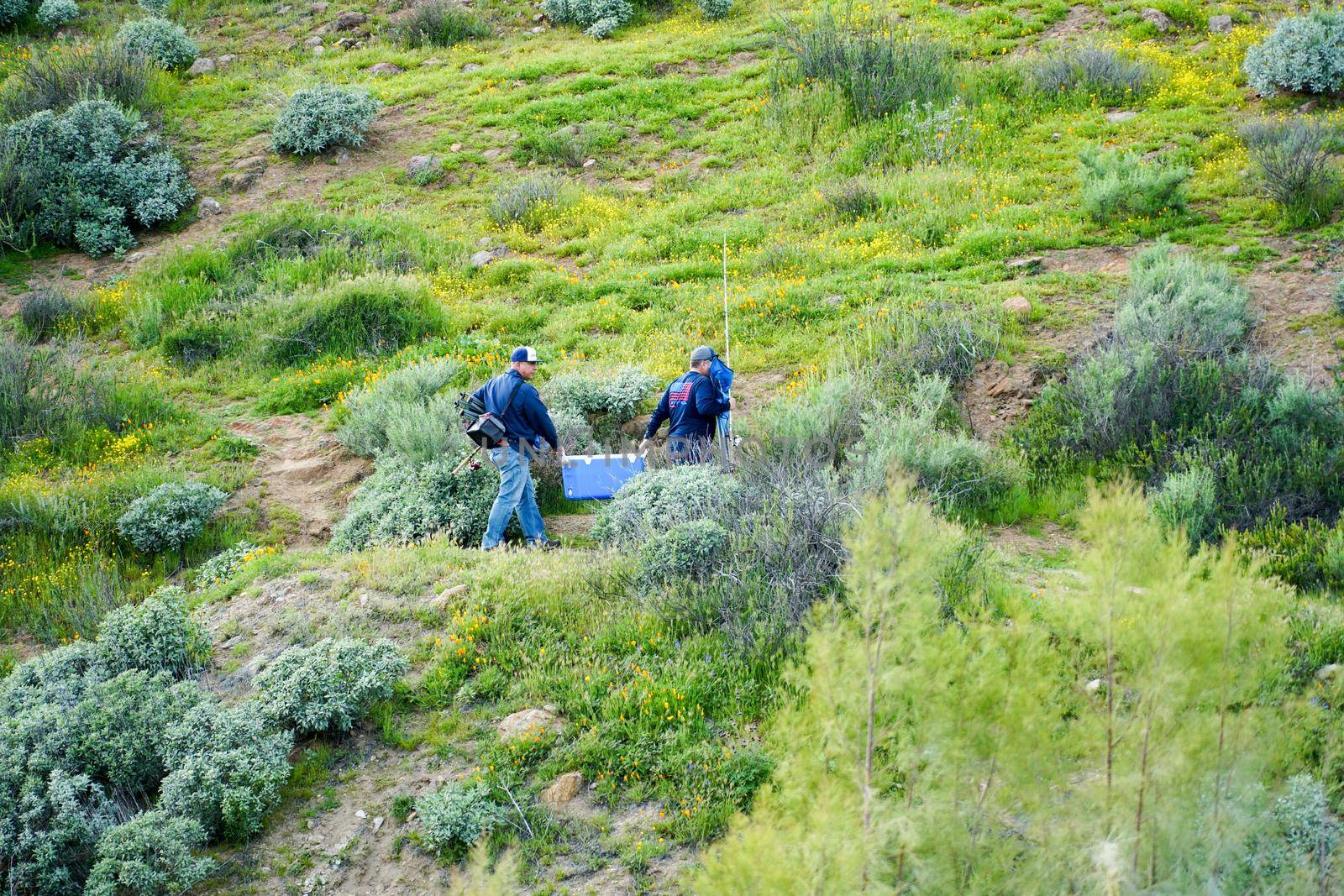 Two fisher-mans walking in the valley to the lake. Diamond Valley Lake by Bonandbon