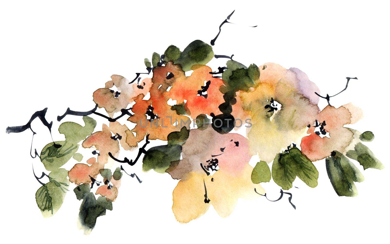 Watercolor and ink illustration of tree branch in bloom - with flowers, buds and leaves. Oriental traditional painting in style sumi-e, u-sin and gohua.