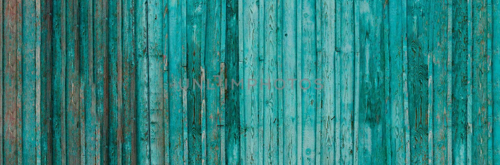 Gray wood texture banner with traces of cracked aquamarine paint.Abstract background,blank template. rustic weathered wood barn background with scratches,nails and knots.Copy space. by Alla_Morozova93
