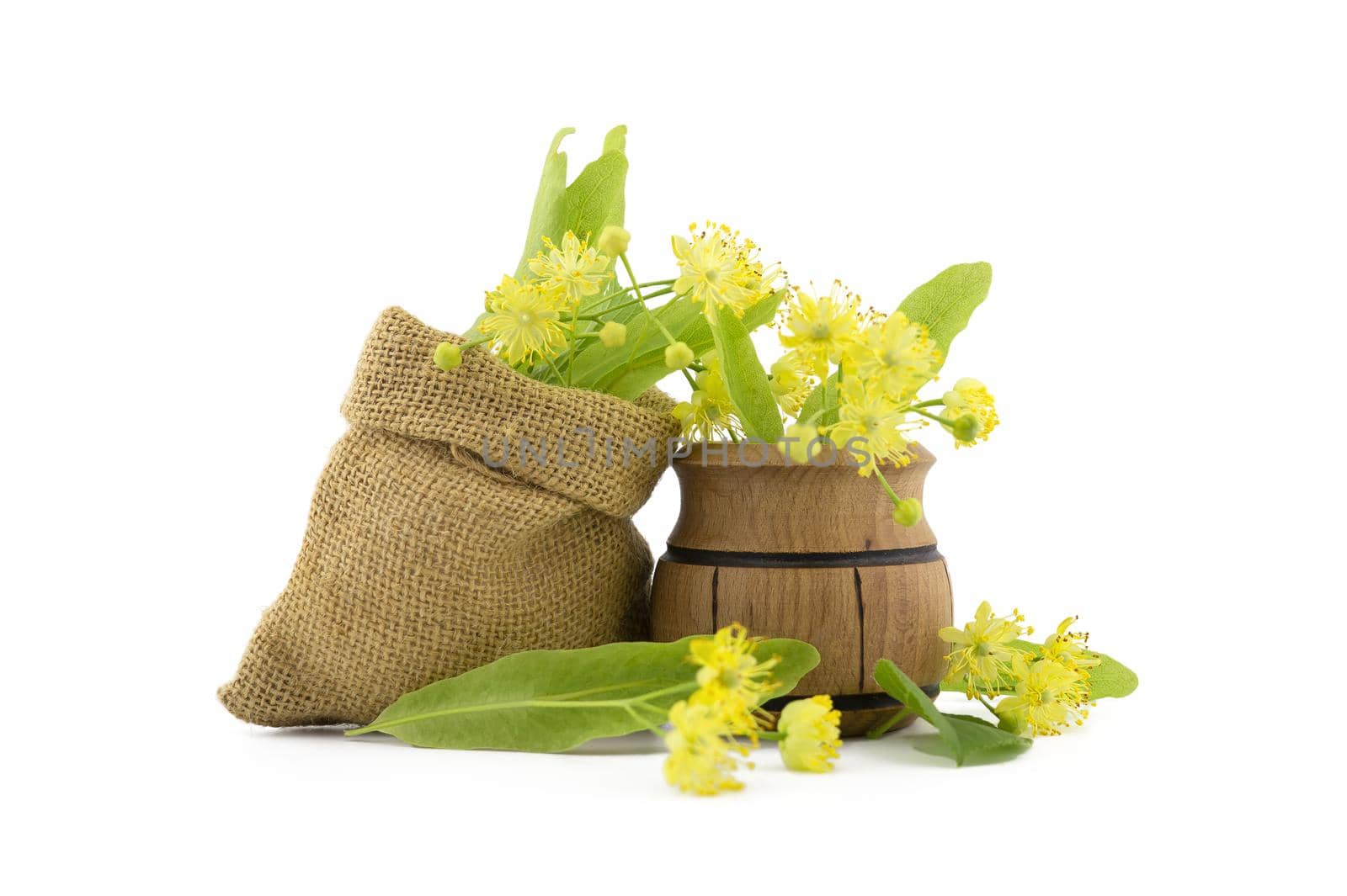 Small wooden pot and small hessian bag of freshly picked yellow linden flowers and leaves, also called tilia and lime, for making a healing tisane or tea over a white background