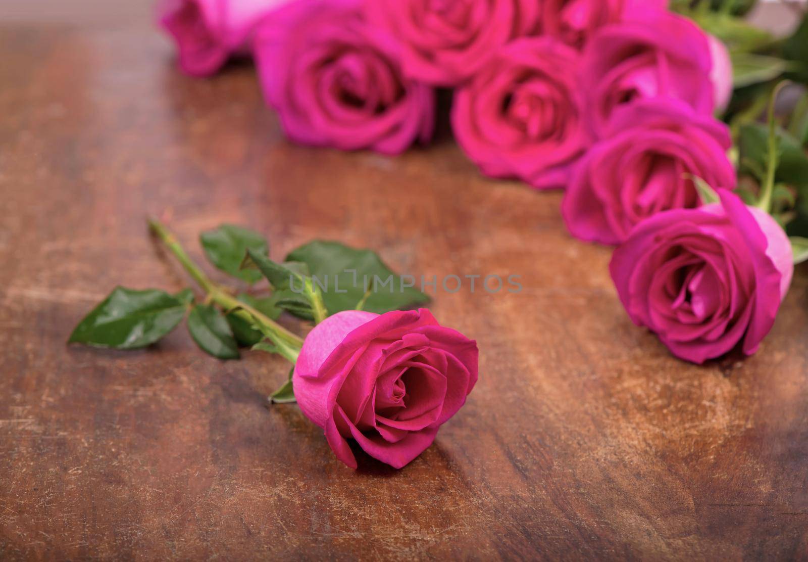 isolated pink roses flower on a wooden table