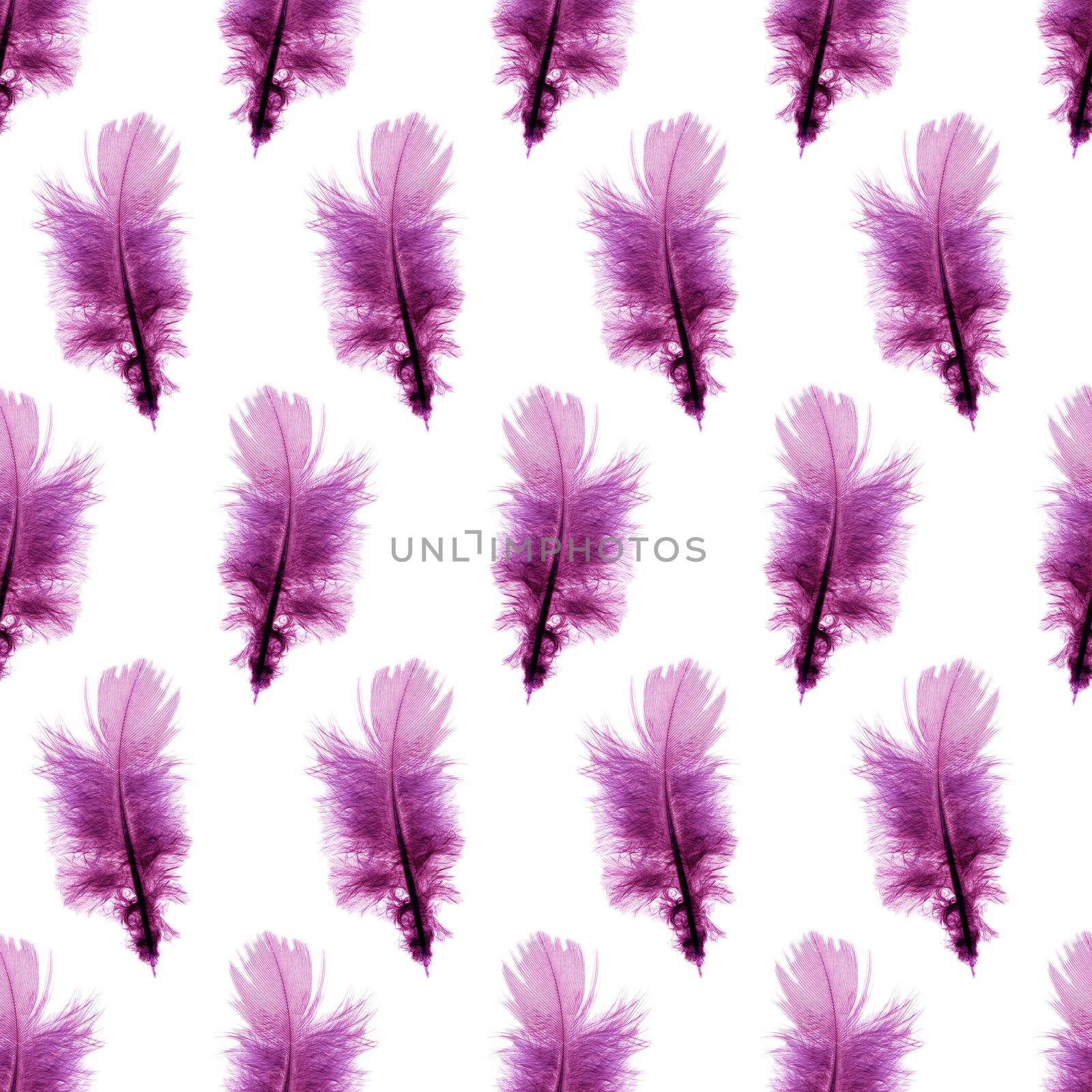 Purple feathers pattern by Lirch