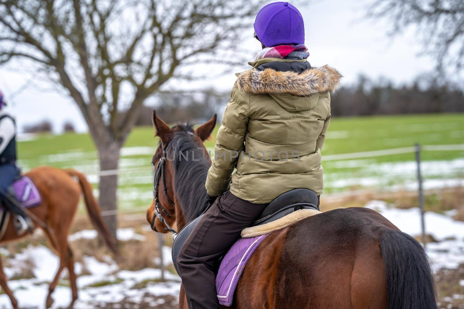 horseback riding at the farmyard in the village by Edophoto