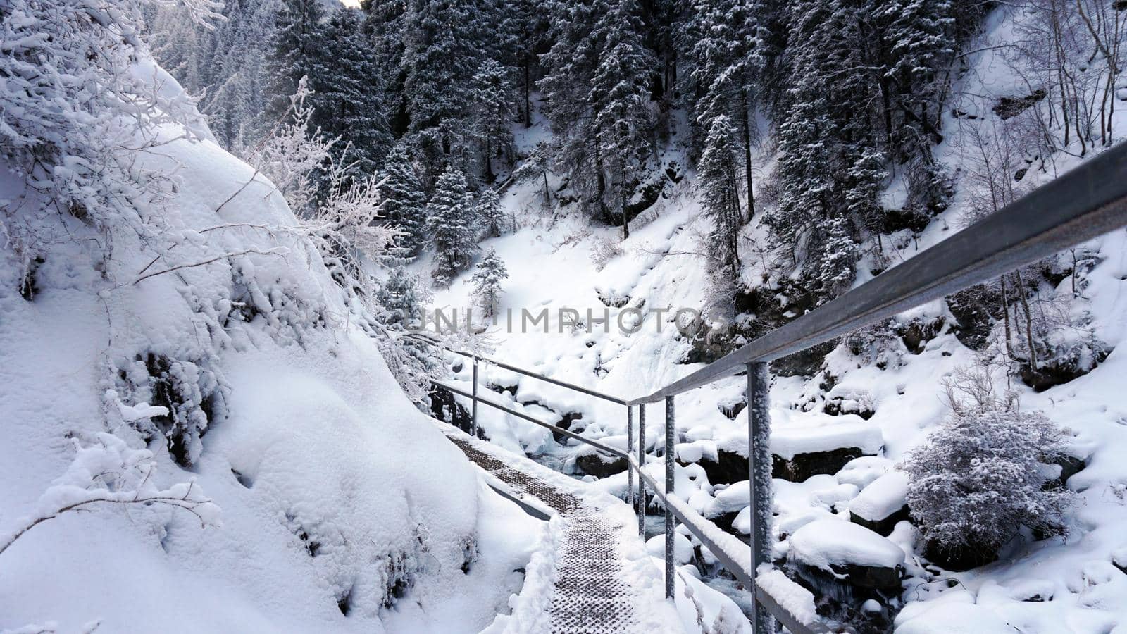 First-person view of a metal bridge in the forest by Passcal