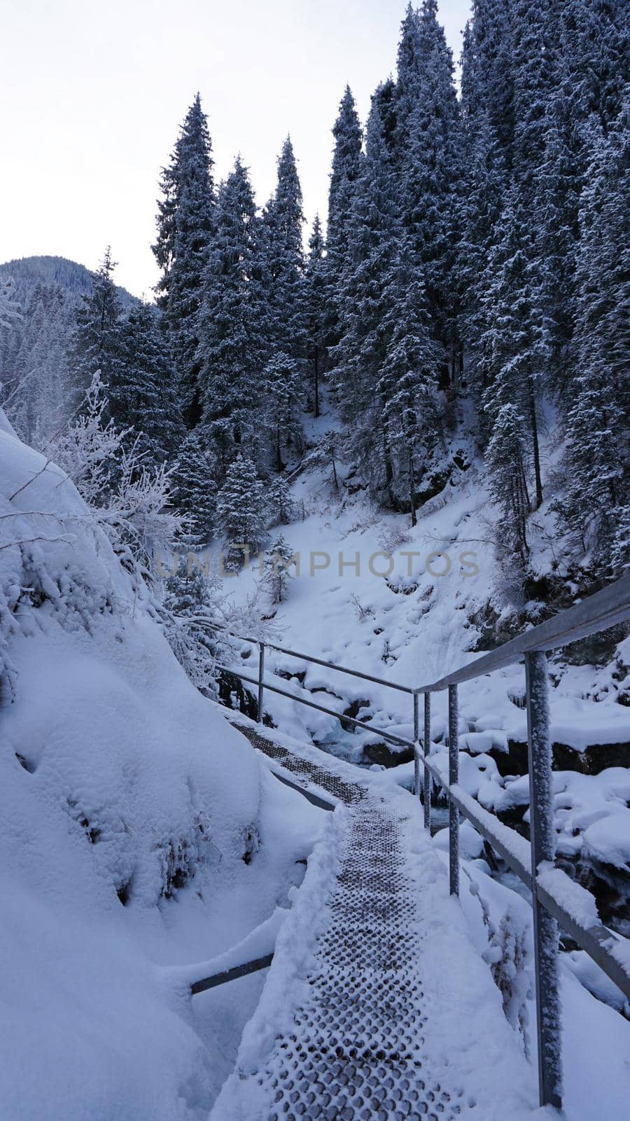 First-person view of a metal bridge in the forest by Passcal