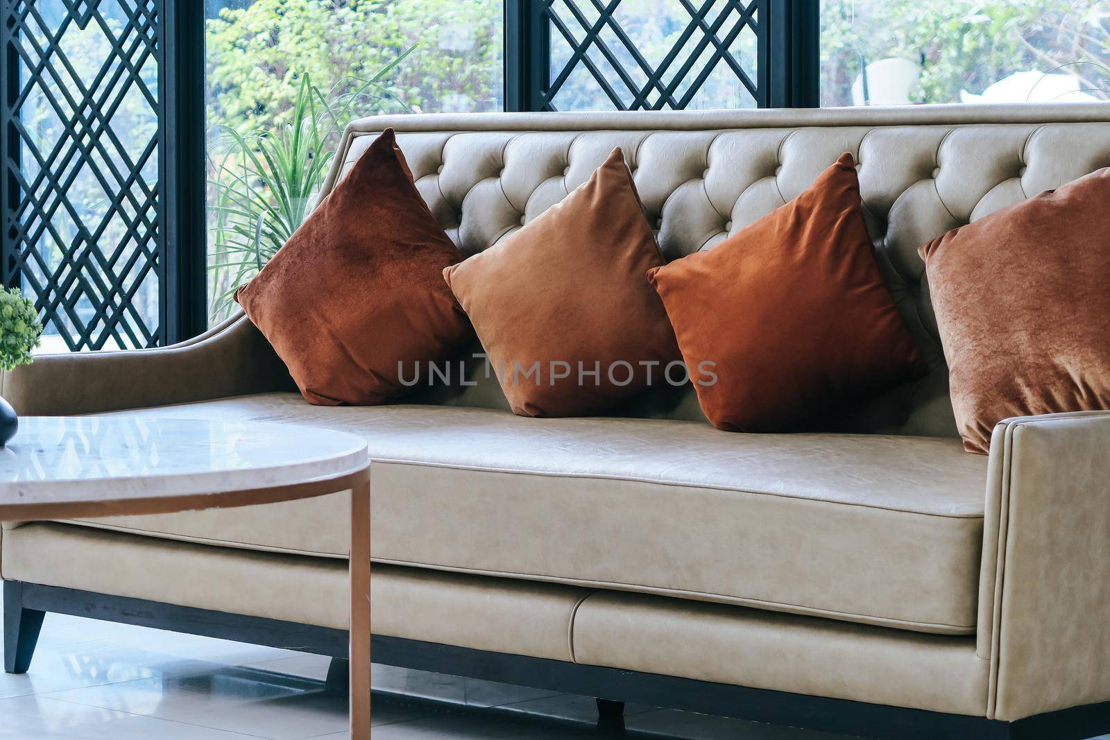 detail of modern living room House plant on coffee table interior decoration