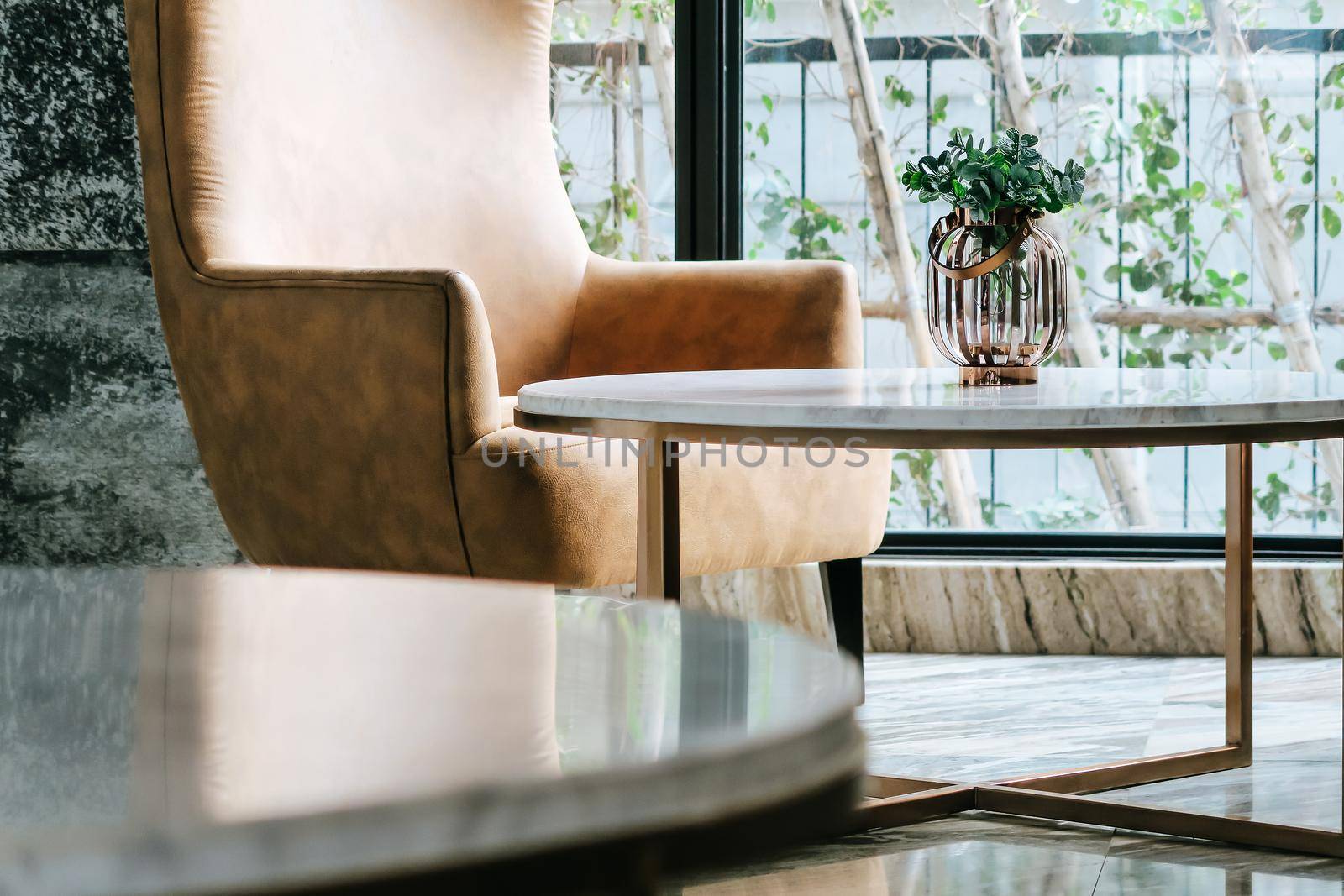detail of modern living room House plant on coffee table interior decoration