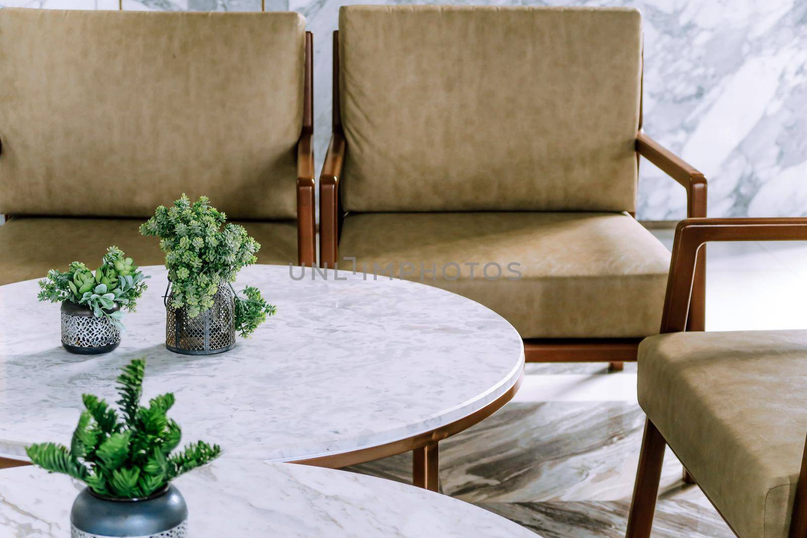 detail of modern living room House plant on coffee table interior decoration