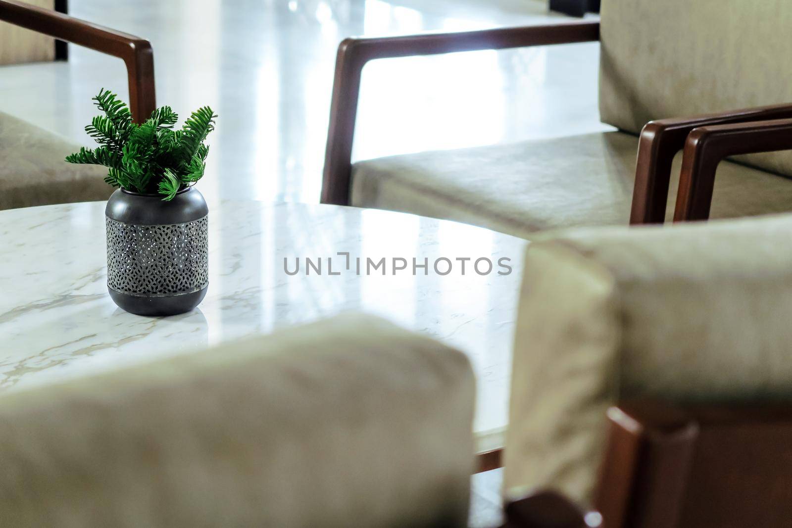 detail of modern living room House plant on coffee table interior decoration