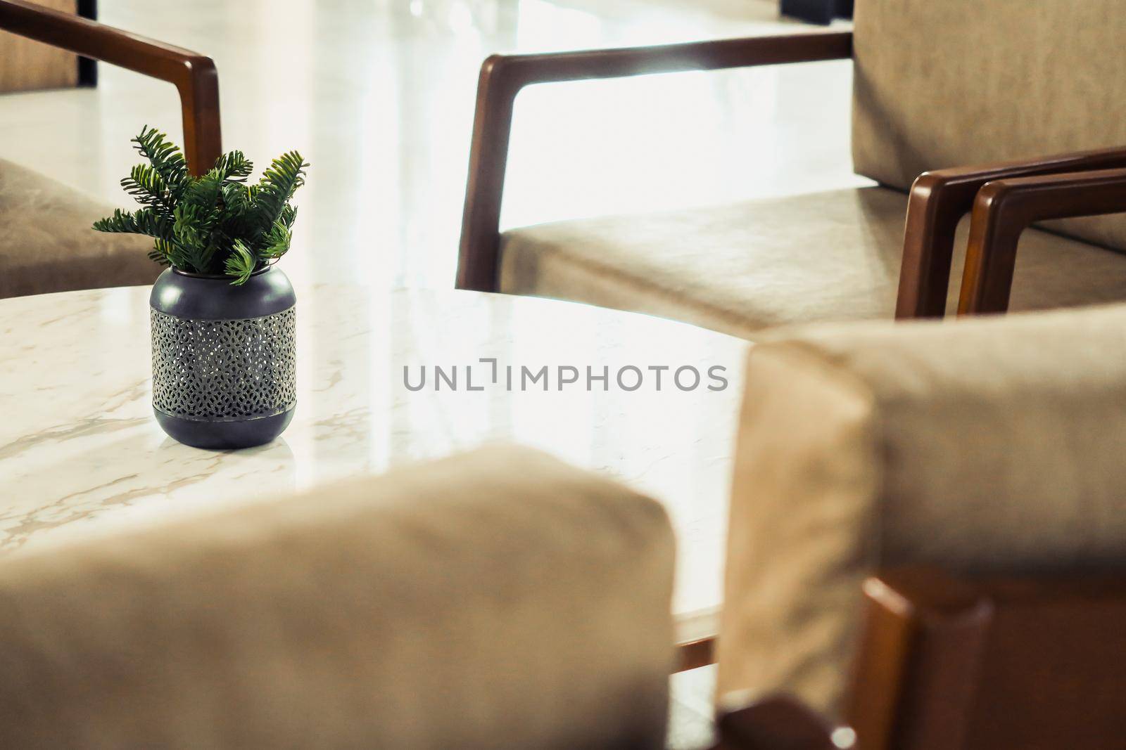 detail of modern living room House plant on coffee table interior decoration