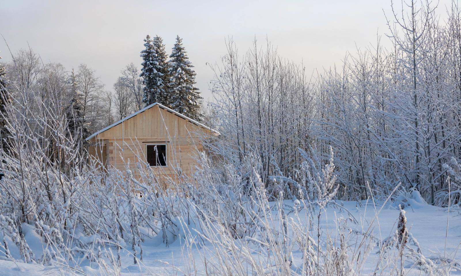 Wooden house at edge of forest. One-storey cottage in winter weather. Single private house near forest. Country house. Trail goes to cottage in middle of snowdrifts. Cottage on a sunny winter day.