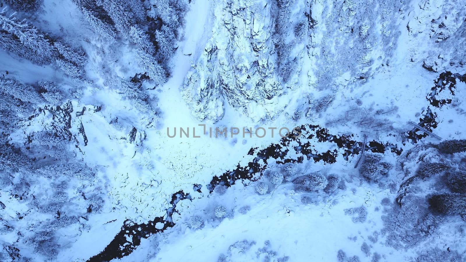 A majestic snowy gorge with fir trees in mountains. Tall trees brush against white clouds. Steep cliffs with large rocks are covered with snow. Top view from the drone. Almarasan, Almaty, Kazakhstan