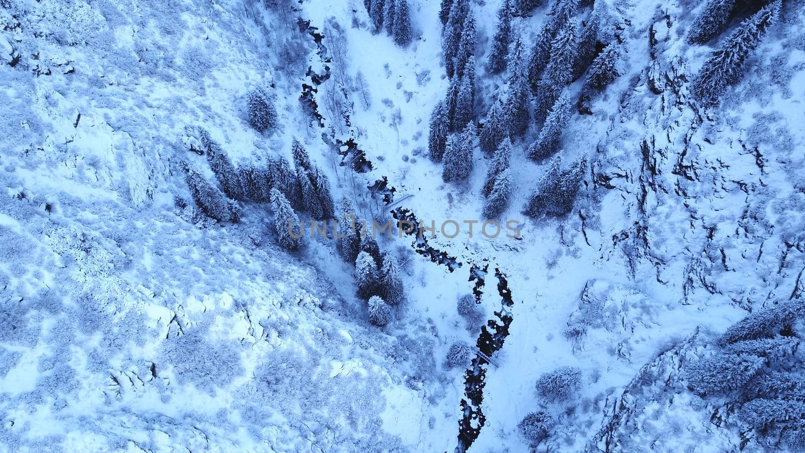 Majestic snowy gorge with fir trees in mountains by Passcal