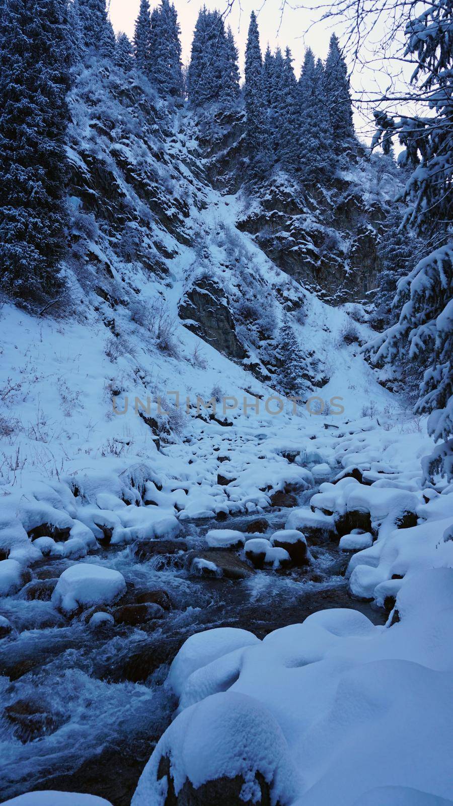 A clear mountain river runs through a snowy gorge by Passcal