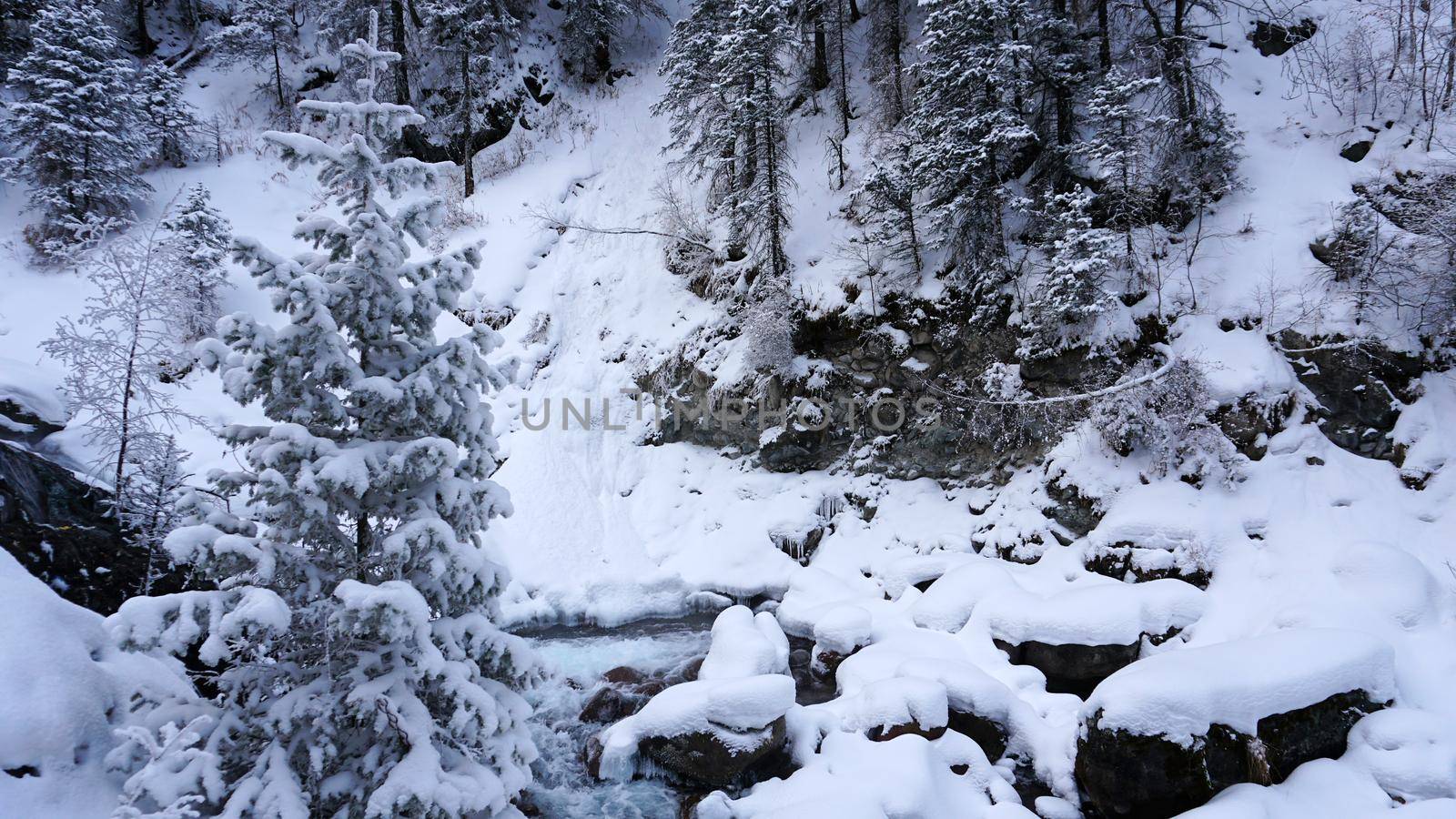 A clear mountain river runs through a snowy gorge. There is a metal bridge covered with snow. Tall spruce trees grow on the slopes of the mountains. There is steam from the river. Almarasan, Almaty