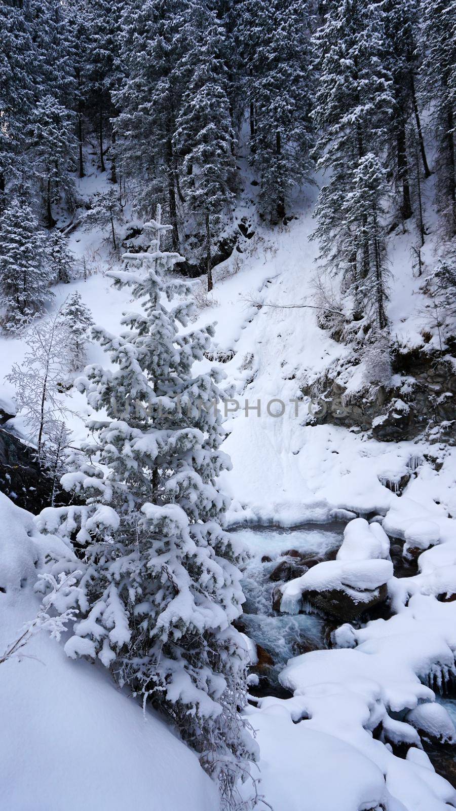 A clear mountain river runs through a snowy gorge by Passcal