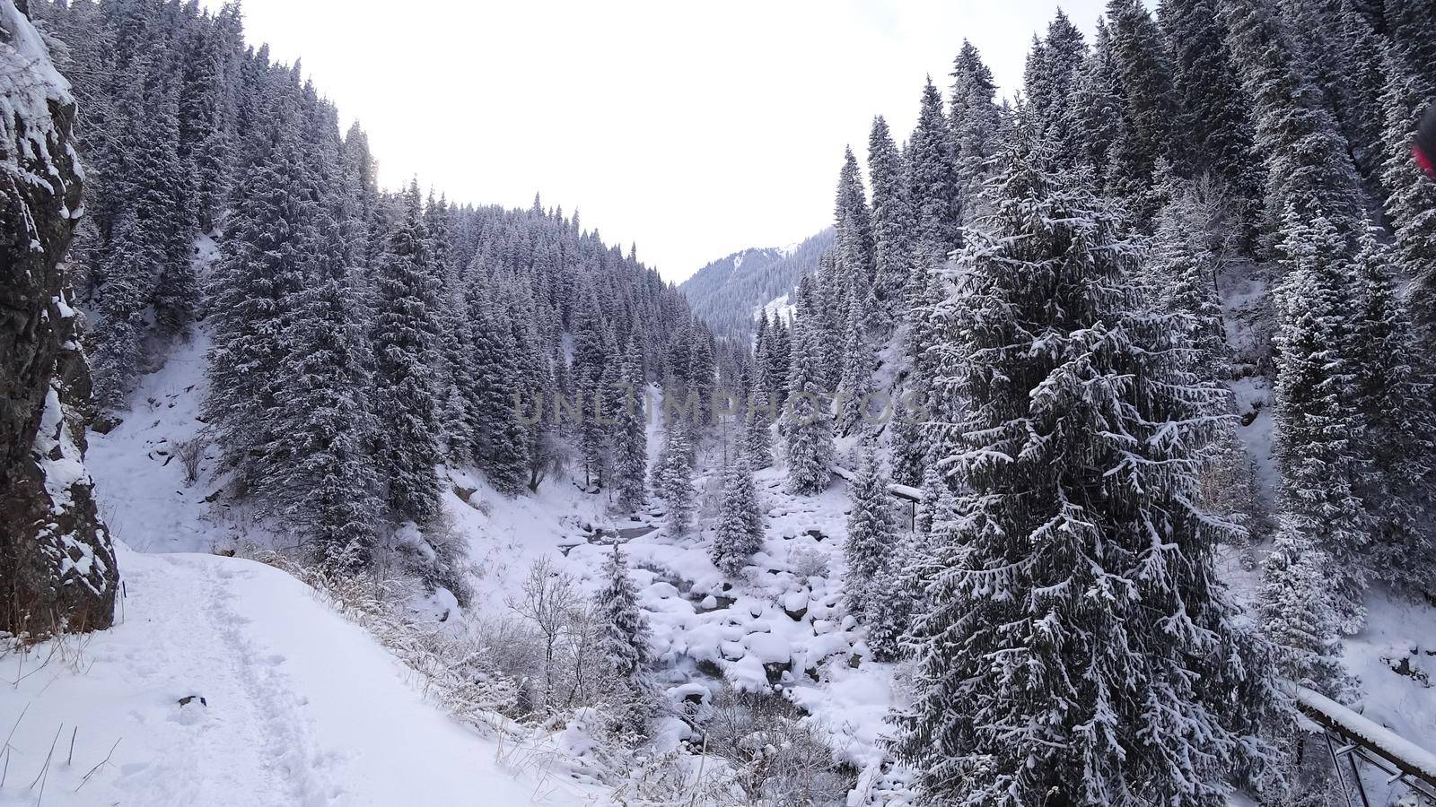 A clear mountain river runs through a snowy gorge. There is a metal bridge covered with snow. Tall spruce trees grow on the slopes of the mountains. There is steam from the river. Almarasan, Almaty