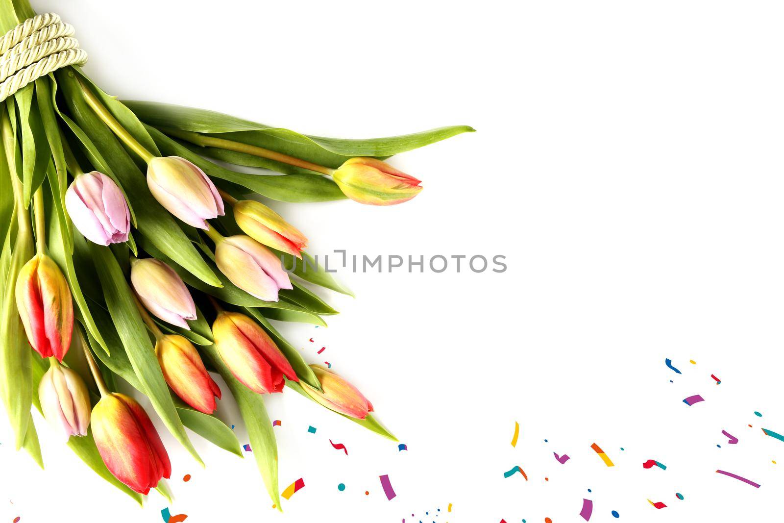 Bunch of spring flowers. Fresh tulips on white background. Valentines, Easter, Birthday, Love, marriage, wedding card. Isolated on white