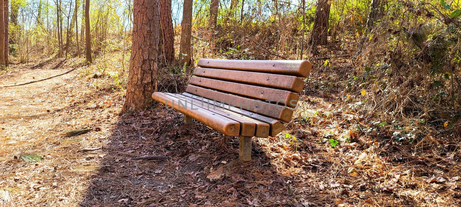 Outdoor bench in the park close to the tree