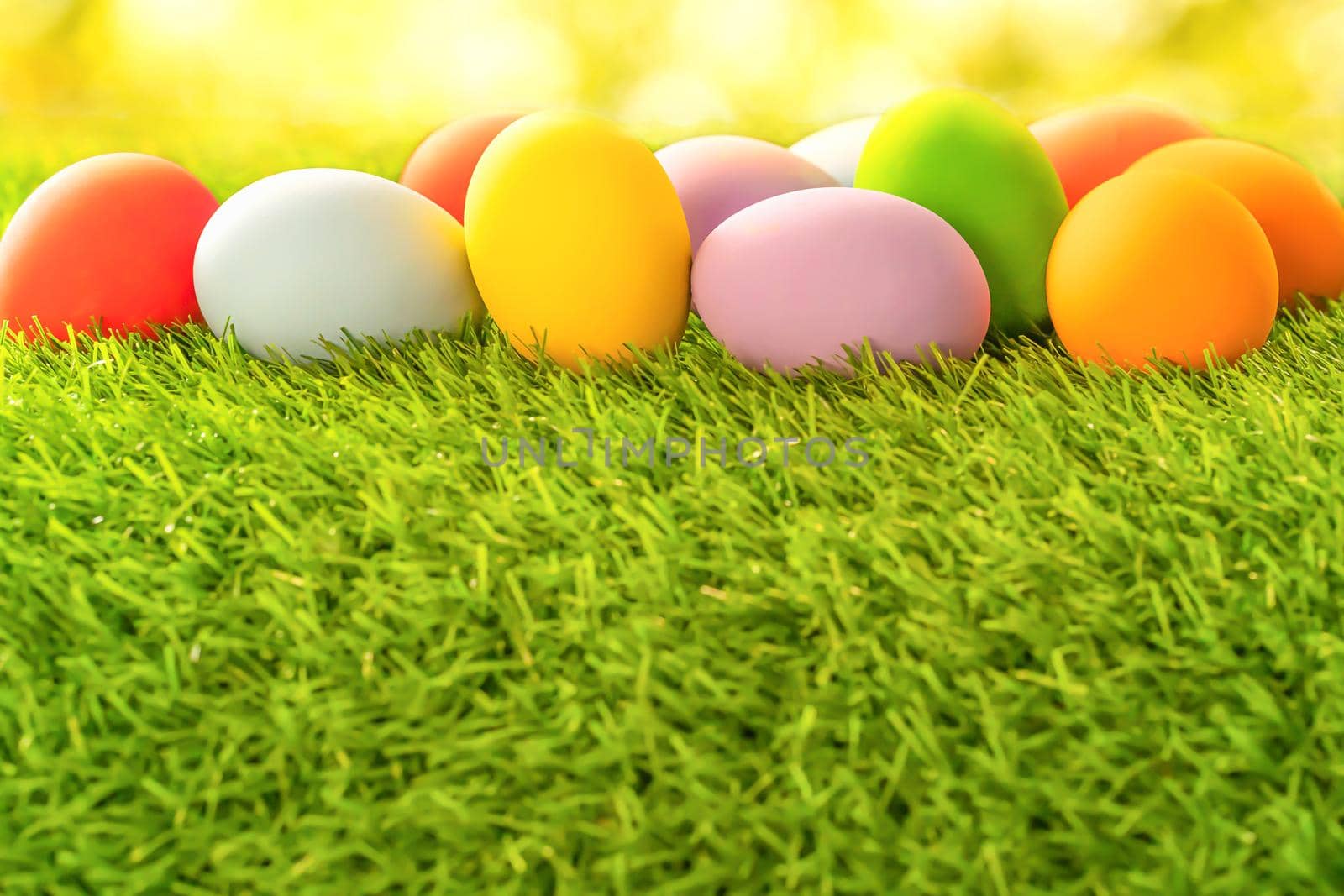 Close up Colorful easter eggs on on green gras background