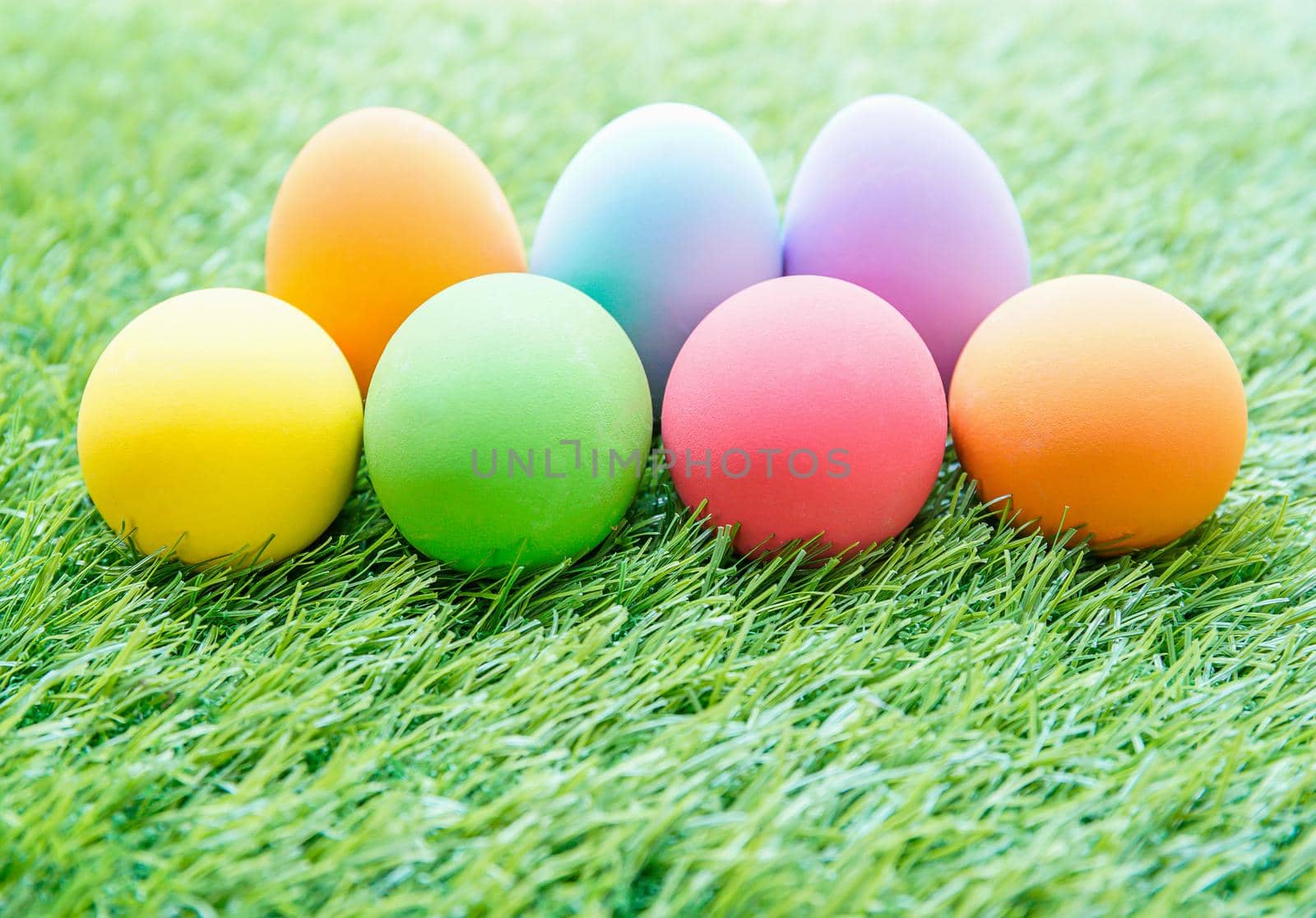 Close up Colorful easter eggs on on green gras background