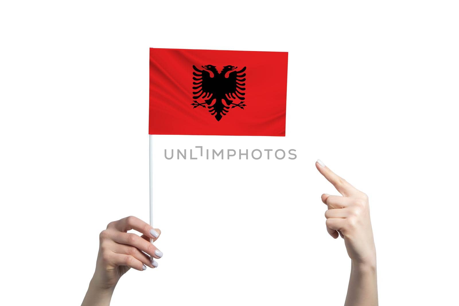 A beautiful female hand holds a Albania flag to which she shows the finger of her other hand, isolated on white background by uspmen