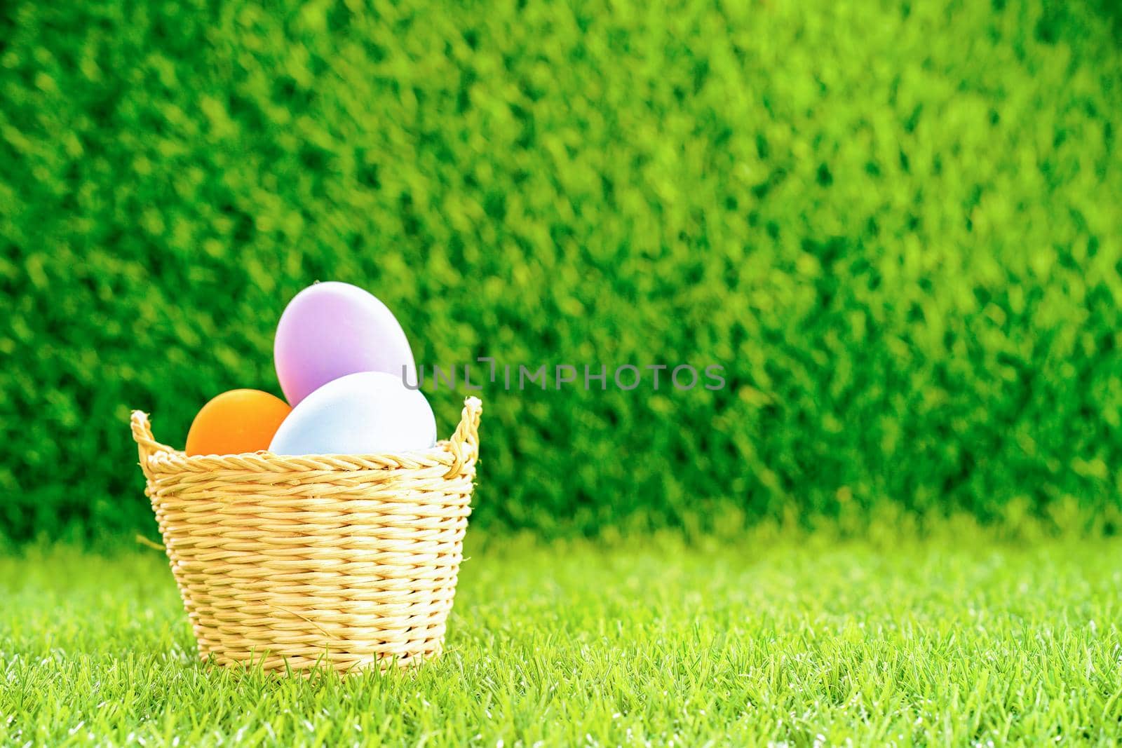 Colorful easter eggs in the basket on green grass background with copy space