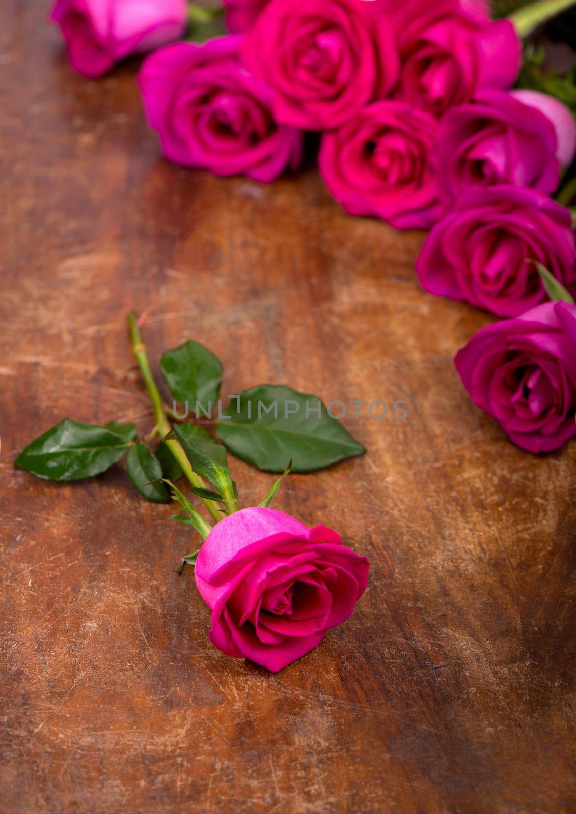 beautiful pink roses on a wooden table by aprilphoto