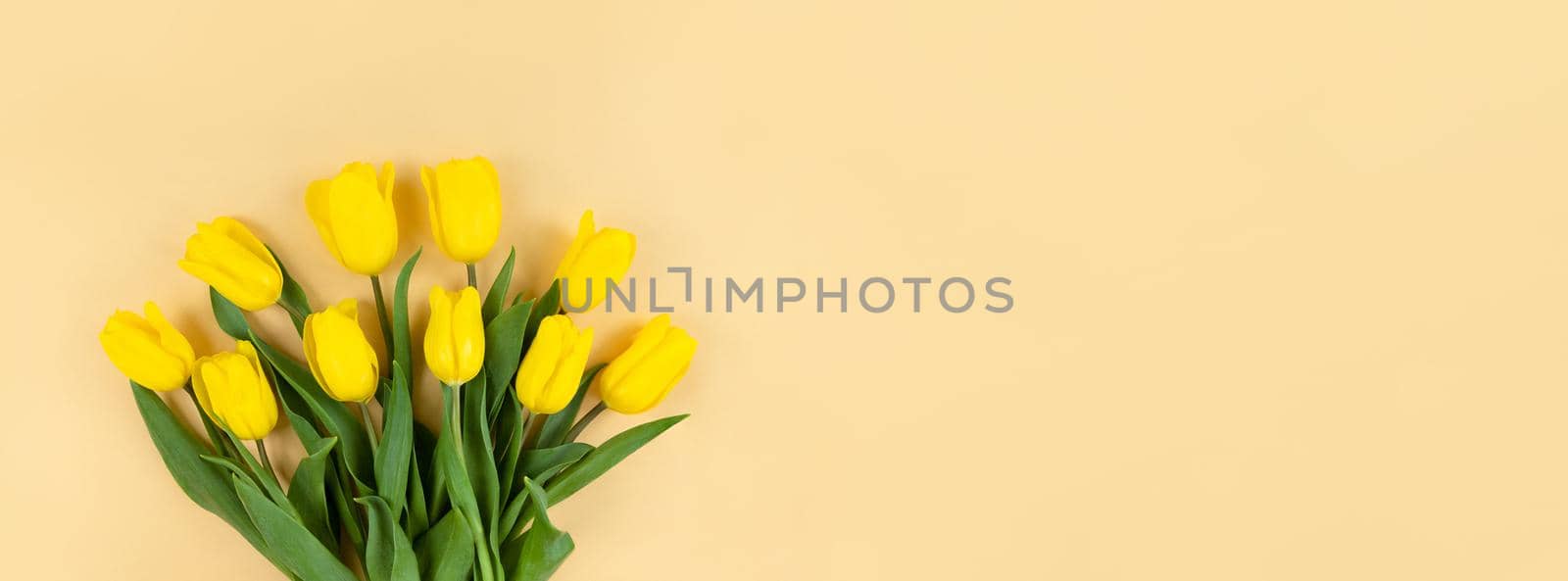 Bouquet of yellow tulips on a beige background with copy space.